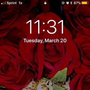 Meet your Posher, Basia